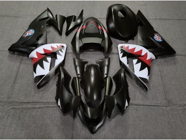 04-05 Matt Schwarzer Betty Bomber Kawasaki ZX10R Motorrad Verkleidungen