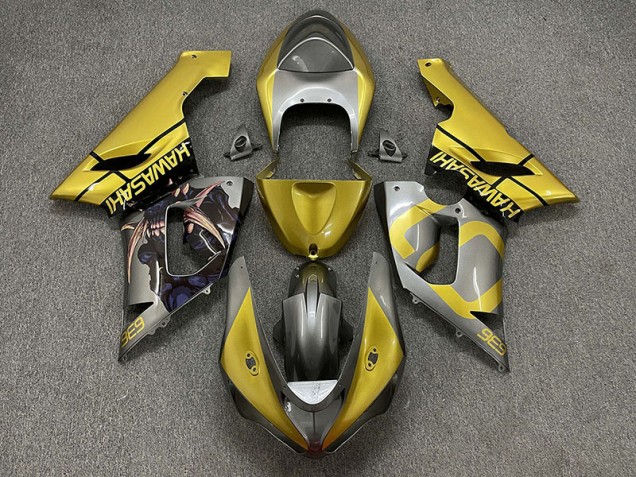 05-06 Gold & Silber Kawasaki ZX6R Motorrad Verkleidungen