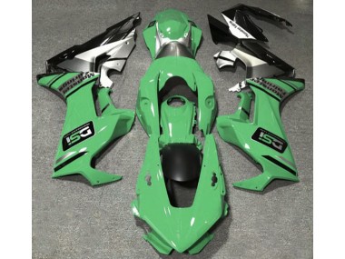 17-23 Hellgrün DSI Honda CBR1000RR Motorrad Verkleidungen
